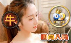 澳门三肖三码三期期必出49V91