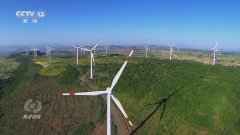 核心｜坚持不懈深化务实合做 元首引领共担大国